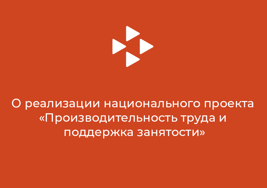 О реализации национального проекта «Производительность труда и поддержка занятости»